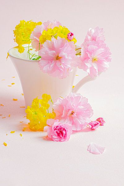 Stillleben &quot;Blüte&quot; von Willy Sengers