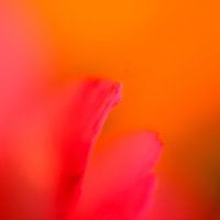 Colours and shapes 1