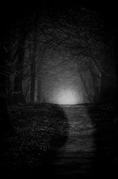 Träumen von Dick Nieswaag