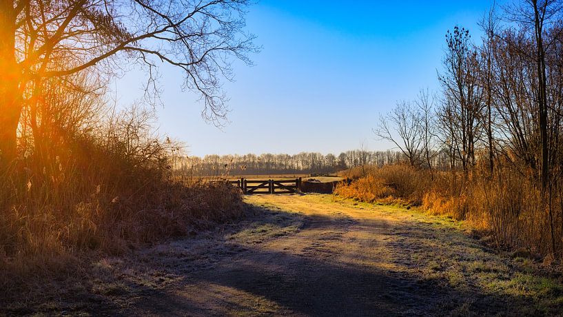 Lever de soleil à Biddinghuizen par René Holtslag