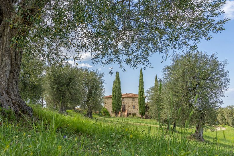 Podere Toscaberna in Seggiano Toskana von Teun Ruijters