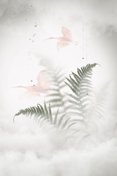 Derrière la vitre. 4 par Alie Ekkelenkamp