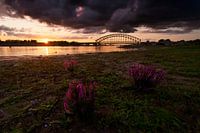 Zonsondergang IJsselbrug Zwolle
