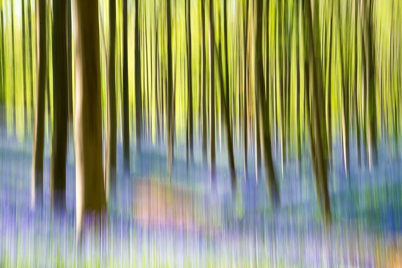 Le bois de Halle creative par Carol Thoelen