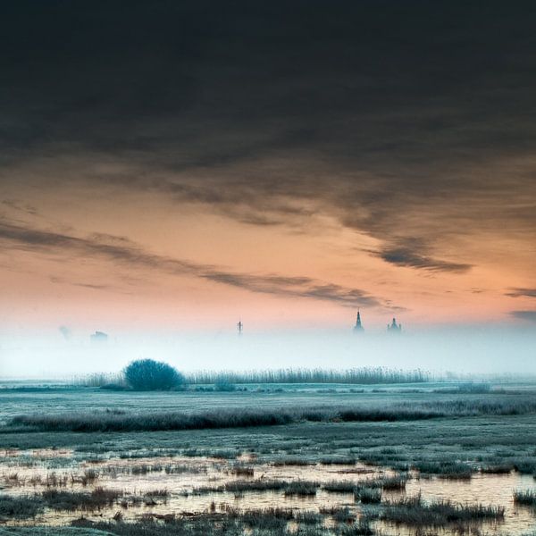 Transition from blue to red van Ruud Peters