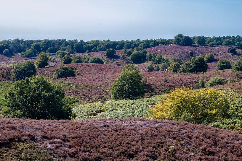 De Posbank - Rheden 2 par Nuance Beeld