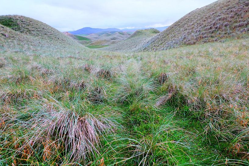 Grasland von Marian Klerx