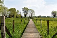 Spazierweg in den Poldern