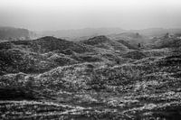 Die grauen Winterdünen