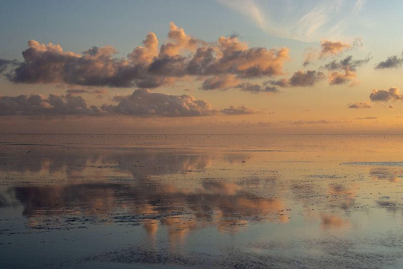 Wadden Sea near Westhoek by Meindert van Dijk