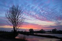 Zonsopkomst boven het water