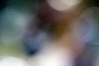 Unscharf-Fotografie-verwischt