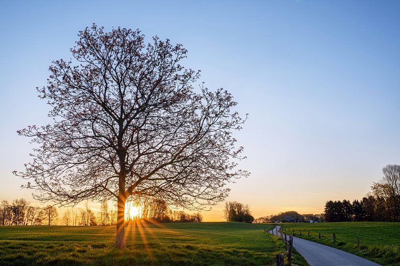 Bergisches Land, Odenthal, Deutschland von Alexander Ludwig