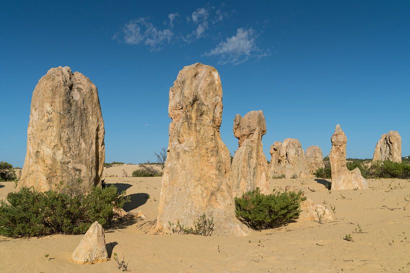 Nambung National Park, Western Australia von Alexander Ludwig
