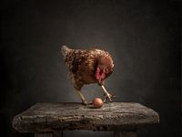 The chicken and the egg - Series - 3/3