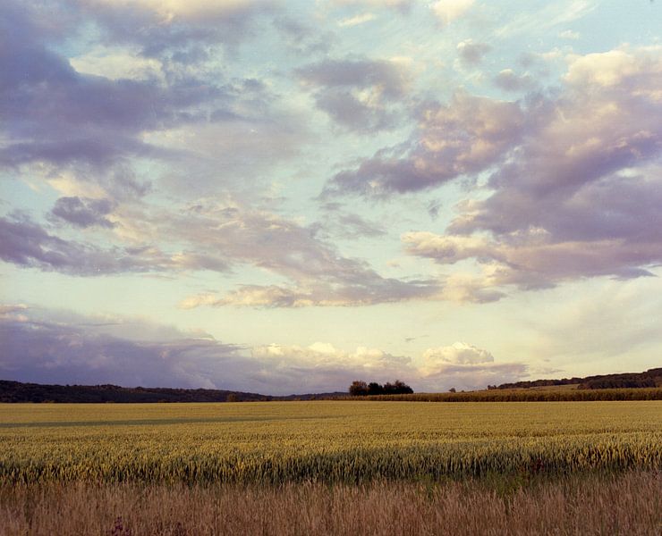 Das Feld von Patrick Dreuning