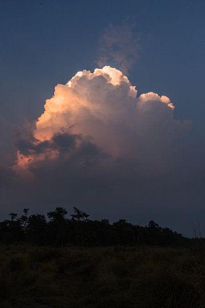 dramatic thundercloud over the jungle by Joep van de Zandt