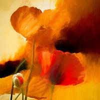 coquelicot rouge
