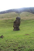 Easter island image