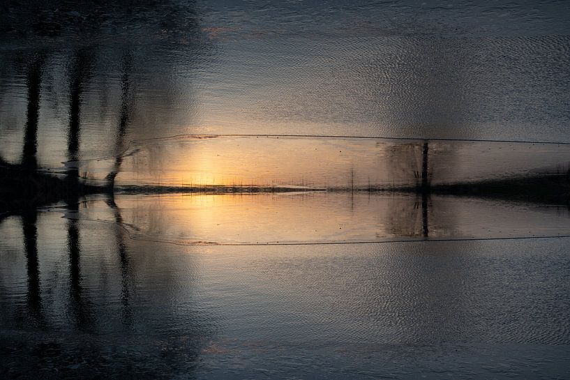 Spiegelung von Sonnenlicht und Bäumen im Wasser 1 von Adriana Müller