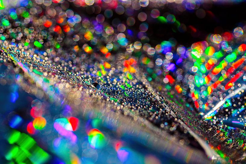 Foil Art by Rob Boon