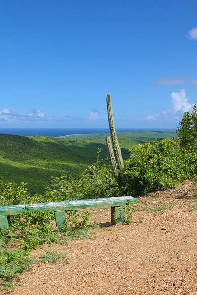 Mont Christoffel  Curaçao par rene marcel originals