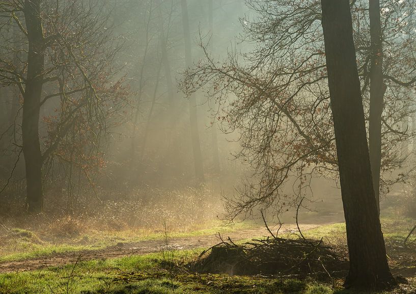 Nebliger Bergherbos von René Jonkhout