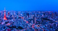 Tokyo in Red and Blue