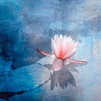 Le soir, à l'étang