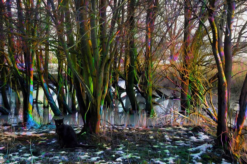 Sprookjesbos, in kleur by Ina Hölzel