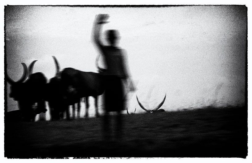 Cowboy Uganda von Richard Wareham