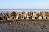Moddergat, Waddenzee