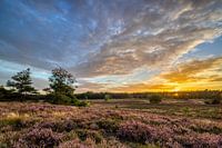 Coucher de soleil Warnsborn