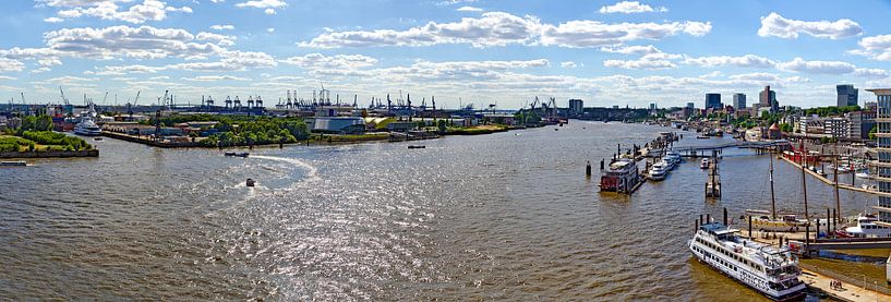 Panorama der Elbe in Hamburg par Leopold Brix