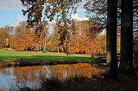Autumn colour reflection