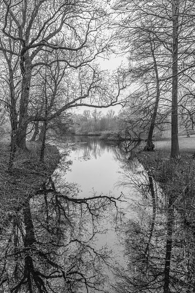 Vondelpark by Jeroen de Jongh Photography