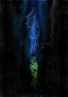 Tu as peur des araignées ?