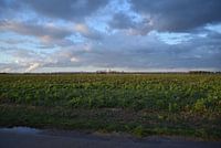 Anflugbefeuerung ETNN