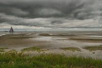 Grüner Strand Terschelling