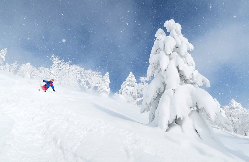 Ski de poudreuse au Japon par Menno Boermans
