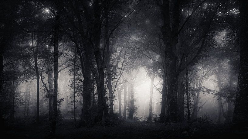 Inkwell Wildwood von Daniel Laan