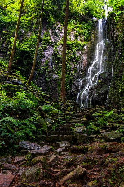 Cascade de Burgbach en Forêt-Noire, été par Fotos by Jan Wehnert