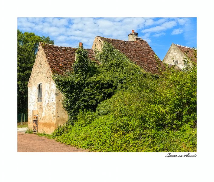 Overgrown cottage in France by BHotography