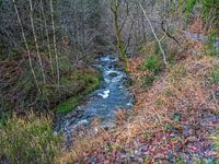 fließenden Fluss inmitten herrlicher Natur.
