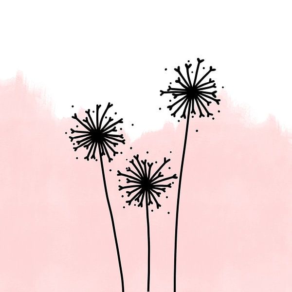 Pusteblumen rosa von Sophia