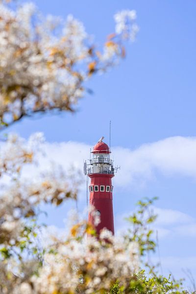 Le phare de Schiermonnikoog sous les feux de la rampe par Hilda Weges