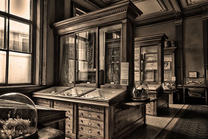 Het oudste museum von Jeroen Wijnands