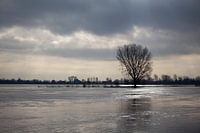 Hoher Wasserstand in der Maas