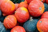 Courges Hokkaido et Accorn