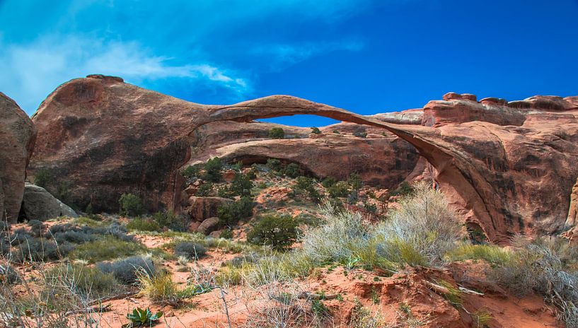 Landscape Arch im Arches National Park, Utah von Rietje Bulthuis